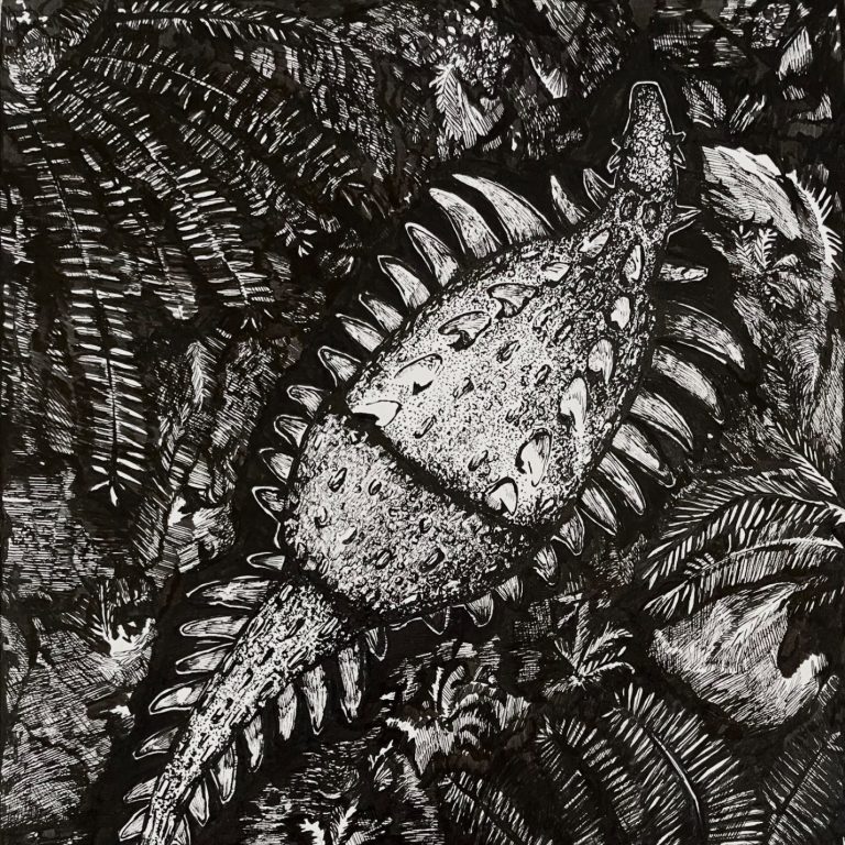 Thylacine artwork, artwork of a Tasmanian tiger.