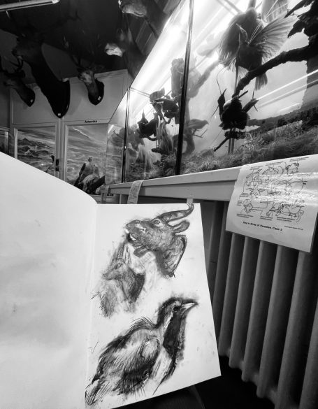 Photograph of my sketchbook at the museum. Sketching at a museum from life.