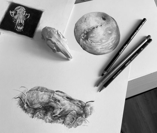 Photograph of artwork and pencils on my desk showing what art tools I use to create my artwork. 