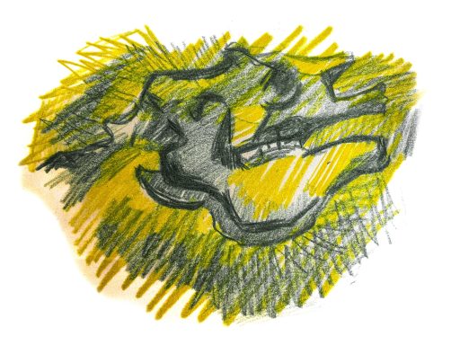 Coloured pencil drawing of the megatherium ground sloth at Tring Museum.