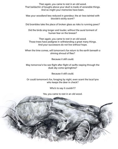 Page one of Yesterday's Fox poem. At the bottom of the page is a black and white pencil drawing of a fox skull.
